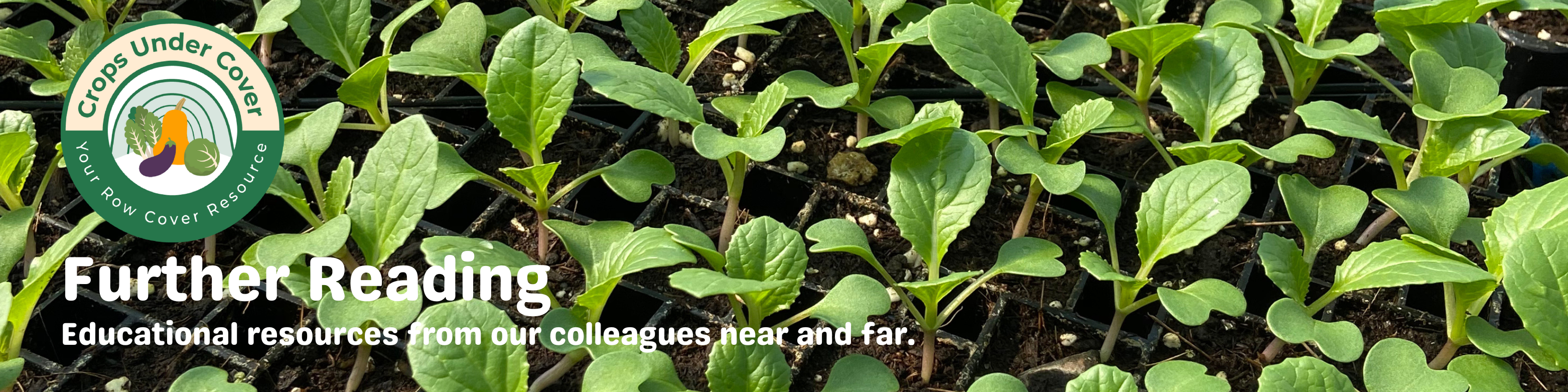 Further Reading Banner with bok choy seedlings in a seed tray 